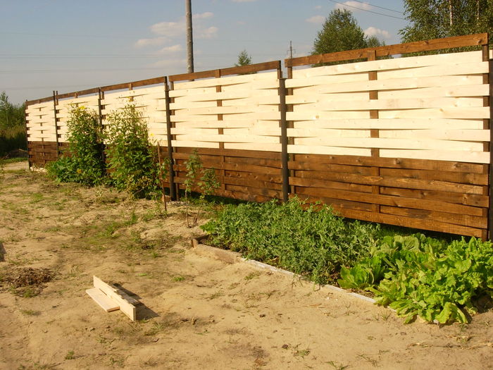 Забор своими руками дешево и красиво (156 фото)